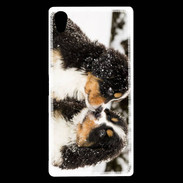 Coque Sony Xperia Z5 Premium Chiot Saint Bernard