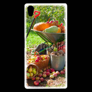 Coque Sony Xperia Z5 Premium fruits et légumes d'automne