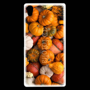Coque Sony Xperia Z5 Premium fond de citrouilles automne