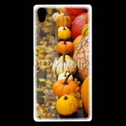 Coque Sony Xperia Z5 Premium Citrouilles