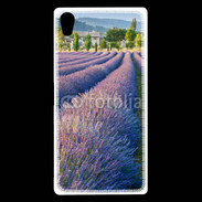 Coque Sony Xperia Z5 Premium La lavande en Provence