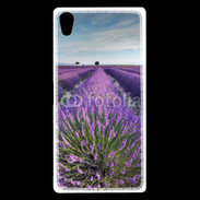 Coque Sony Xperia Z5 Premium Champs de lavande 5