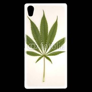 Coque Sony Xperia Z5 Premium Feuille de cannabis 3