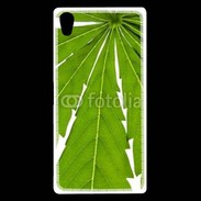 Coque Sony Xperia Z5 Premium Feuille de cannabis 4