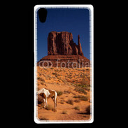 Coque Sony Xperia Z5 Premium Monument Valley USA