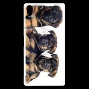 Coque Sony Xperia Z5 Premium Chiots Berger Allemand