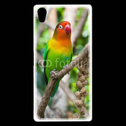 Coque Sony Xperia Z5 Premium Oiseau Inséparable