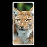 Coque Sony Xperia Z5 Premium Lynx 1