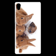 Coque Sony Xperia Z5 Premium Gardien de lapins