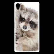 Coque Sony Xperia Z5 Premium Raton laveur dans un arbre