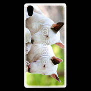 Coque Sony Xperia Z5 Premium Chien Bull terrier anglais 1