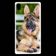 Coque Sony Xperia Z5 Premium Portrait d'un berger allemand adulte