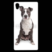 Coque Sony Xperia Z5 Premium American Staffordshire Terrier puppy