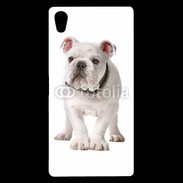 Coque Sony Xperia Z5 Premium Chiot Bulldog français 610
