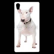 Coque Sony Xperia Z5 Premium Bull Terrier blanc 600