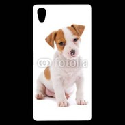 Coque Sony Xperia Z5 Premium Jack russel terrier puppy 800