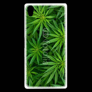 Coque Sony Xperia Z5 Premium Feuilles de marijuana