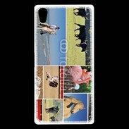 Coque Sony Xperia Z5 Premium Beauté de la camargue