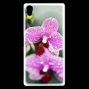 Coque Sony Xperia Z5 Premium Belle Orchidée PR 50