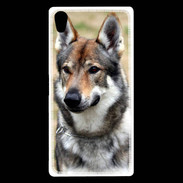 Coque Sony Xperia Z5 Premium Portrait de chien PB