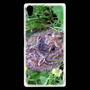 Coque Sony Xperia Z5 Premium Lapin sauvage PB 1