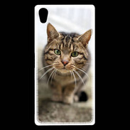 Coque Sony Xperia Z5 Premium Portrait de chat PR