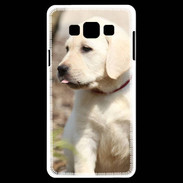 Coque Samsung A7 Adorable labrador