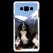 Coque Samsung A7 Bouvier Bernois