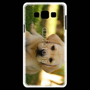 Coque Samsung A7 Chiot labrador 4