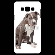 Coque Samsung A7 American staffordshire bull terrier