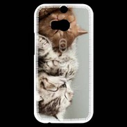 Coque HTC One M8s Sieste de chatons