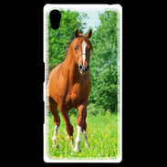 Coque Personnalisée Sony Xpéria Z5 Cheval arabe robe marron et blanche