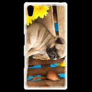 Coque Personnalisée Sony Xpéria Z5 Chiot Carlin