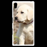 Coque Personnalisée Sony Xpéria Z5 Adorable labrador