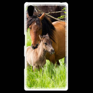 Coque Personnalisée Sony Xpéria Z5 Cheval et poulain
