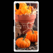 Coque Personnalisée Sony Xpéria Z5 Citrouilles 3