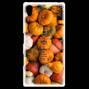 Coque Personnalisée Sony Xpéria Z5 fond de citrouilles automne