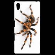 Coque Personnalisée Sony Xpéria Z5 Araignée tarentule