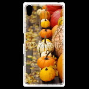 Coque Personnalisée Sony Xpéria Z5 Citrouilles