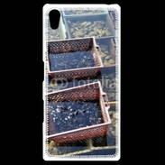 Coque Personnalisée Sony Xpéria Z5 Conchyliculteur