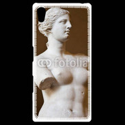 Coque Personnalisée Sony Xpéria Z5 Venus de Milo