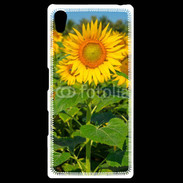 Coque Personnalisée Sony Xpéria Z5 Champs de Tournesol