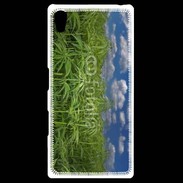 Coque Personnalisée Sony Xpéria Z5 Champs de cannabis