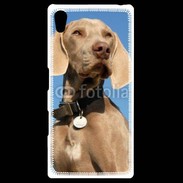 Coque Personnalisée Sony Xpéria Z5 Chien de chasse Braque