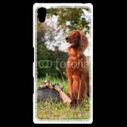 Coque Personnalisée Sony Xpéria Z5 chien de chasse 300