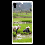 Coque Personnalisée Sony Xpéria Z5 Rizière au Vietnam