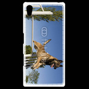 Coque Personnalisée Sony Xpéria Z5 Chien agility