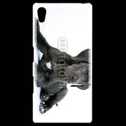 Coque Personnalisée Sony Xpéria Z5 Dogue allemand noir