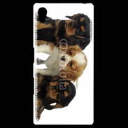 Coque Personnalisée Sony Xpéria Z5 Chiot King Charles