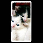 Coque Personnalisée Sony Xpéria Z5 Duo de chatons 2